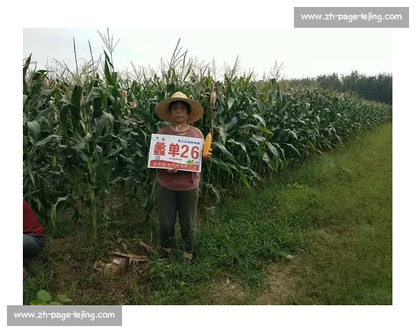 图赫尔更衣室暖心一幕:欧青赛夺冠后拥抱每位球员彰显领袖魅力 图赫尔更衣室暖心一幕:欧青赛夺冠后拥抱每位球员彰显领袖魅力