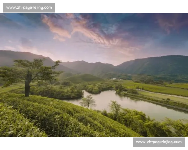 夜骑西湖：杭州青年的浪漫通勤美学